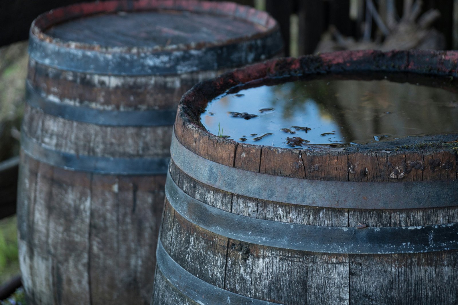 Dunkles Wasser in einem Tank