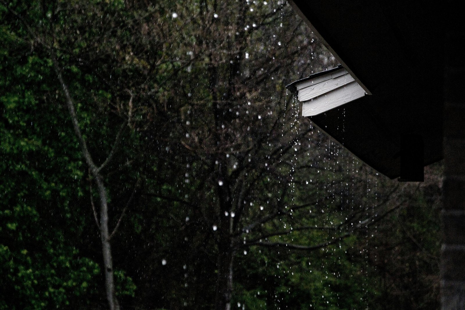 Regenwasser fließt in eine Zisterne