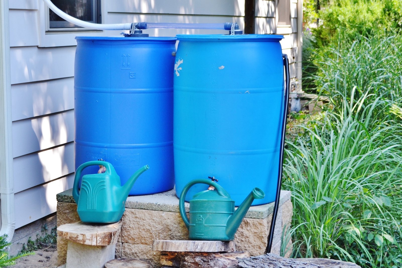 Regentonne im Garten mit stehendem Wasser